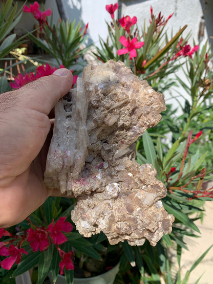 Conglomérat avec Apophyllite, muscovite et Tourmaline Rubellite, superbe spècimen naturel de 170 mm x 90 x 113 - 1 158 grammes !