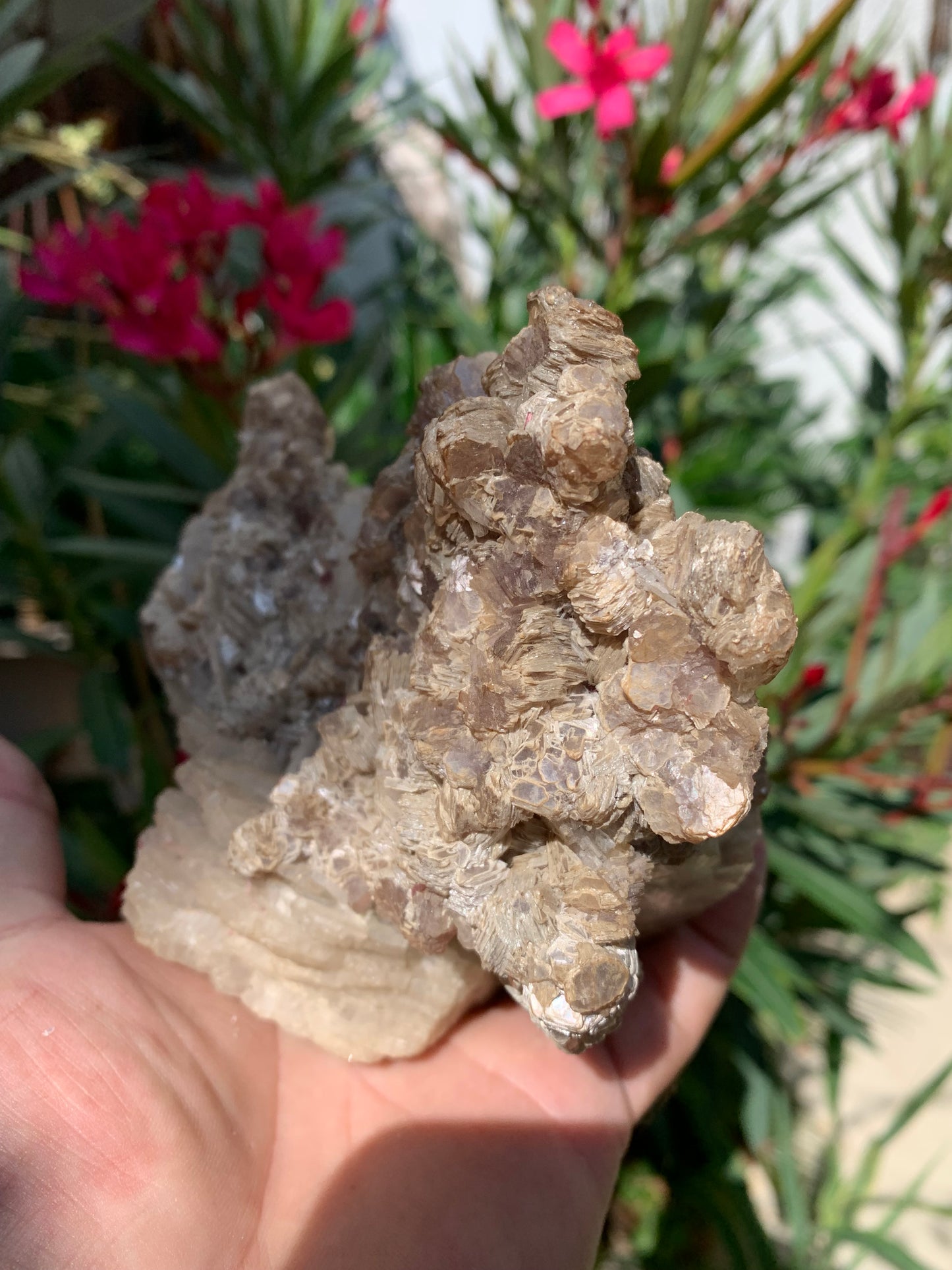 Conglomérat avec Apophyllite, muscovite et Tourmaline Rubellite, superbe spècimen naturel de 170 mm x 90 x 113 - 1 158 grammes !