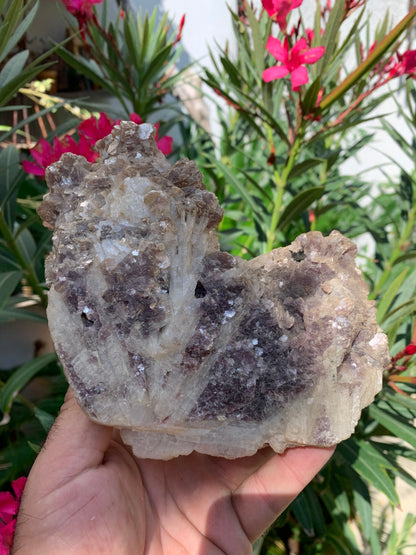 Conglomérat avec Apophyllite, muscovite et Tourmaline Rubellite, superbe spècimen naturel de 170 mm x 90 x 113 - 1 158 grammes !