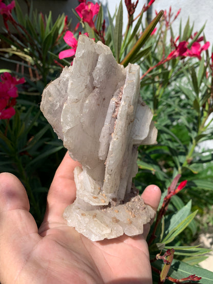 Apophyllite, superbe spécimen naturel de 155 x 125 x 70 mm - 725 grammes. Magnifique pièce de minéralogie du Brésil !
