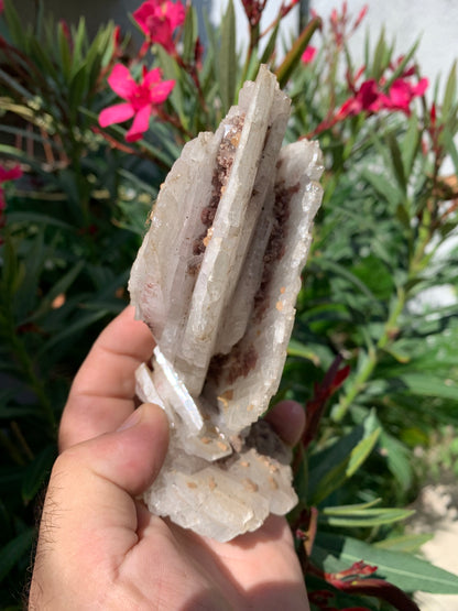 Apophyllite, superbe spécimen naturel de 155 x 125 x 70 mm - 725 grammes. Magnifique pièce de minéralogie du Brésil !