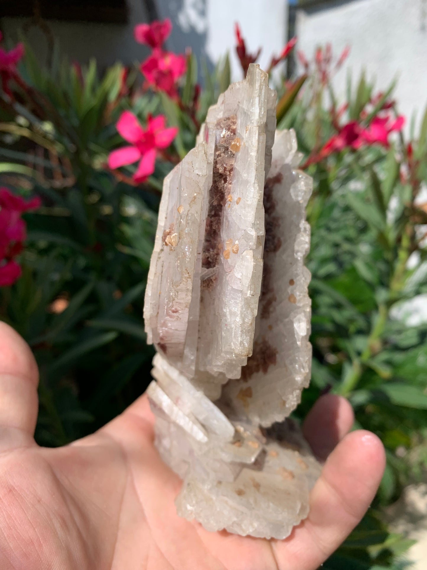 Apophyllite, superbe spécimen naturel de 155 x 125 x 70 mm - 725 grammes. Magnifique pièce de minéralogie du Brésil !