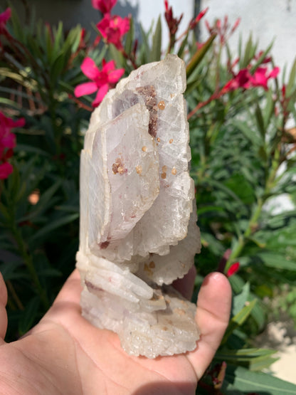 Apophyllite, superbe spécimen naturel de 155 x 125 x 70 mm - 725 grammes. Magnifique pièce de minéralogie du Brésil !