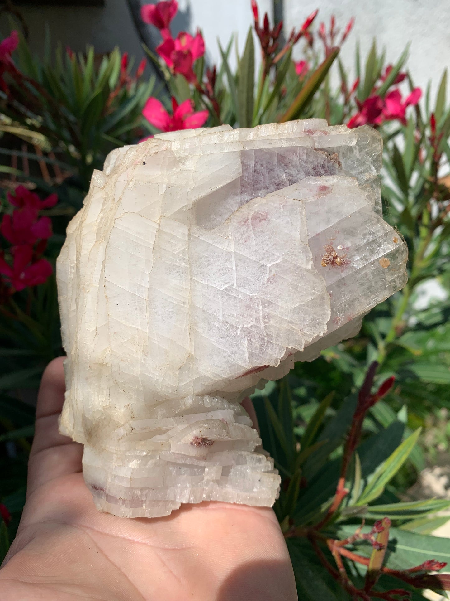 Apophyllite, superbe spécimen naturel de 155 x 125 x 70 mm - 725 grammes. Magnifique pièce de minéralogie du Brésil !