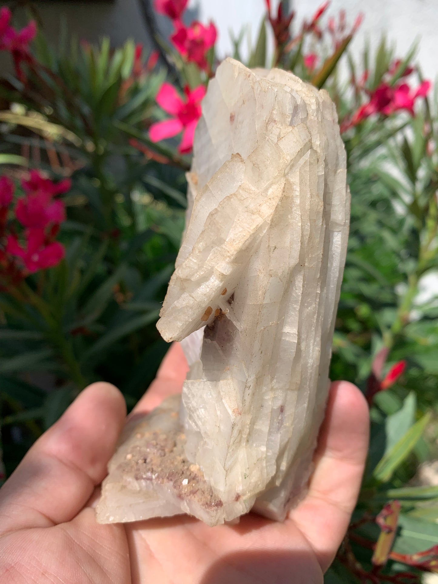 Apophyllite, superbe spécimen naturel de 155 x 125 x 70 mm - 725 grammes. Magnifique pièce de minéralogie du Brésil !