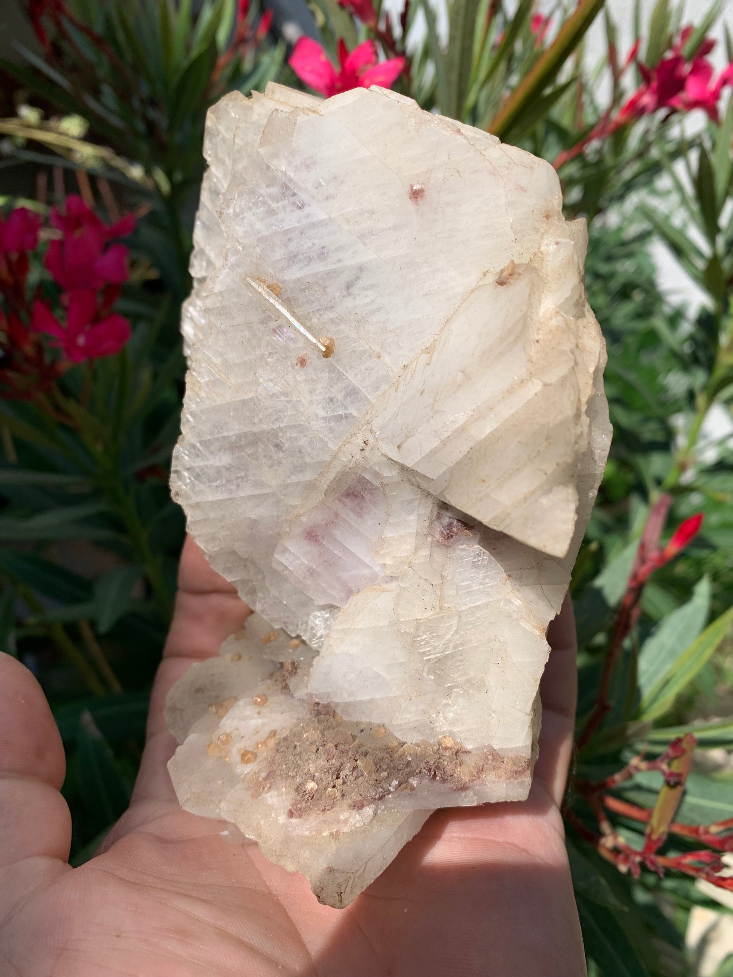 Apophyllite, superbe spécimen naturel de 155 x 125 x 70 mm - 725 grammes. Magnifique pièce de minéralogie du Brésil !