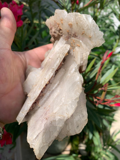 Apophyllite, superbe spécimen naturel de 155 x 125 x 70 mm - 725 grammes. Magnifique pièce de minéralogie du Brésil !
