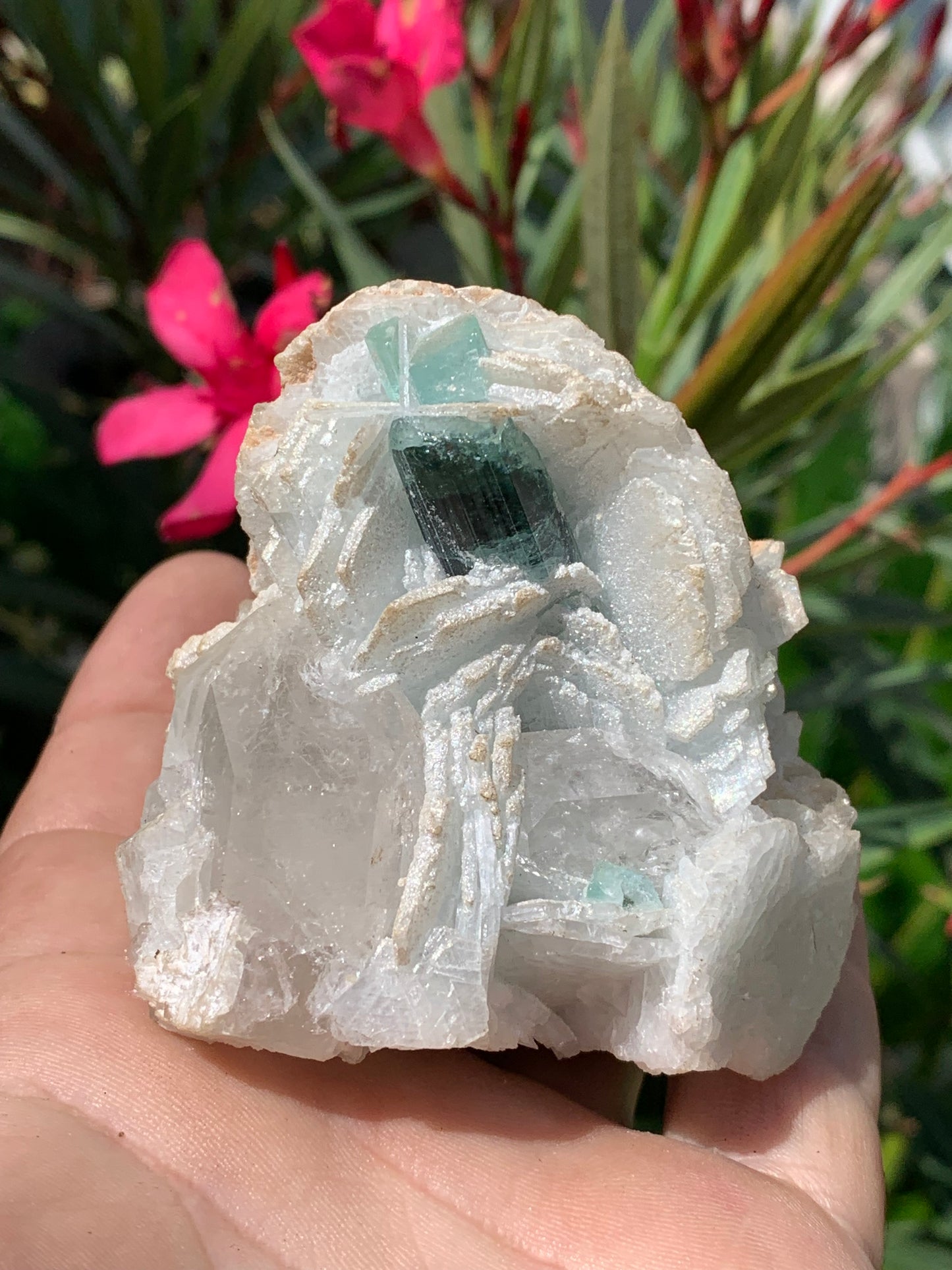 Tourmaline bleue/ Indicolite, spécimen naturel sur Quartz et Albite, de 73 x 62 x 66 mm - 293,5 grammes. Un trés beau cristal bleu transperçant !