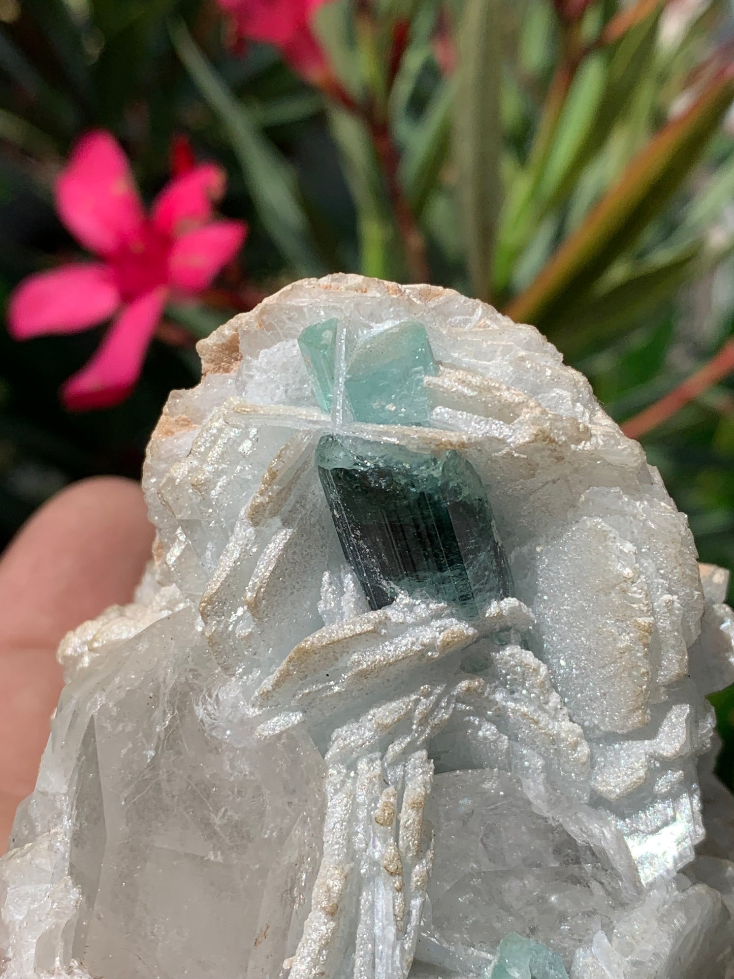 Tourmaline bleue/ Indicolite, spécimen naturel sur Quartz et Albite, de 73 x 62 x 66 mm - 293,5 grammes. Un trés beau cristal bleu transperçant !