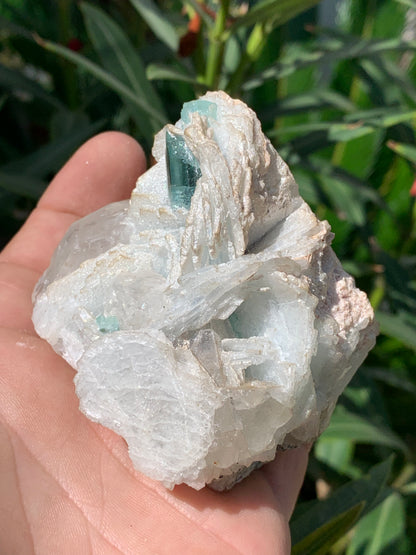 Tourmaline bleue/ Indicolite, spécimen naturel sur Quartz et Albite, de 73 x 62 x 66 mm - 293,5 grammes. Un trés beau cristal bleu transperçant !