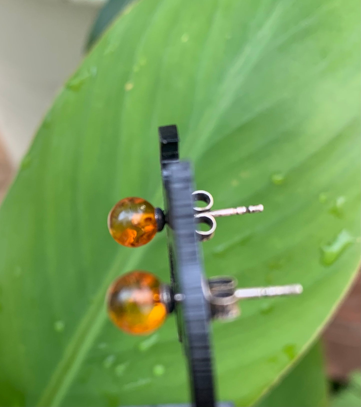 Amber studs/earrings, AA to AAA quality. 0.925 silver finish, very elegant, fine, perfect!