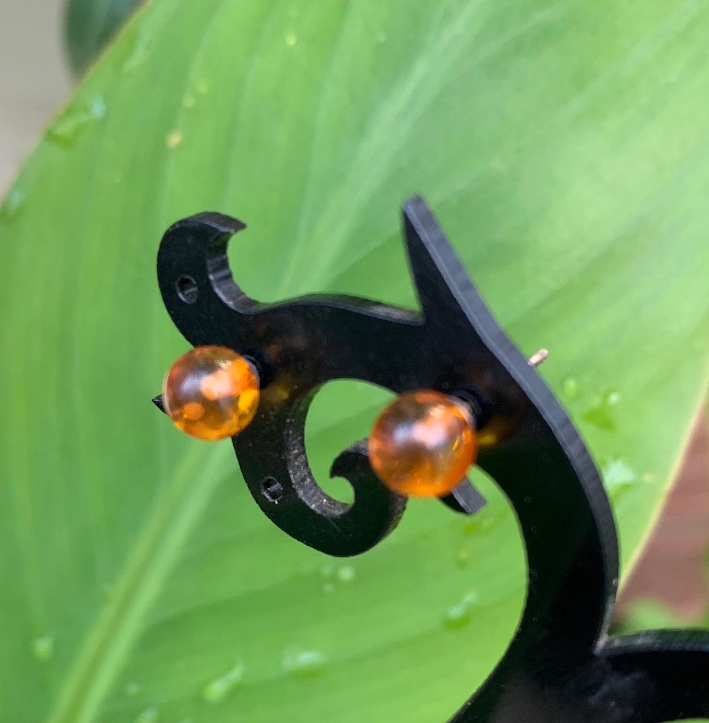 Amber studs/earrings, AA to AAA quality. 0.925 silver finish, very elegant, fine, perfect!
