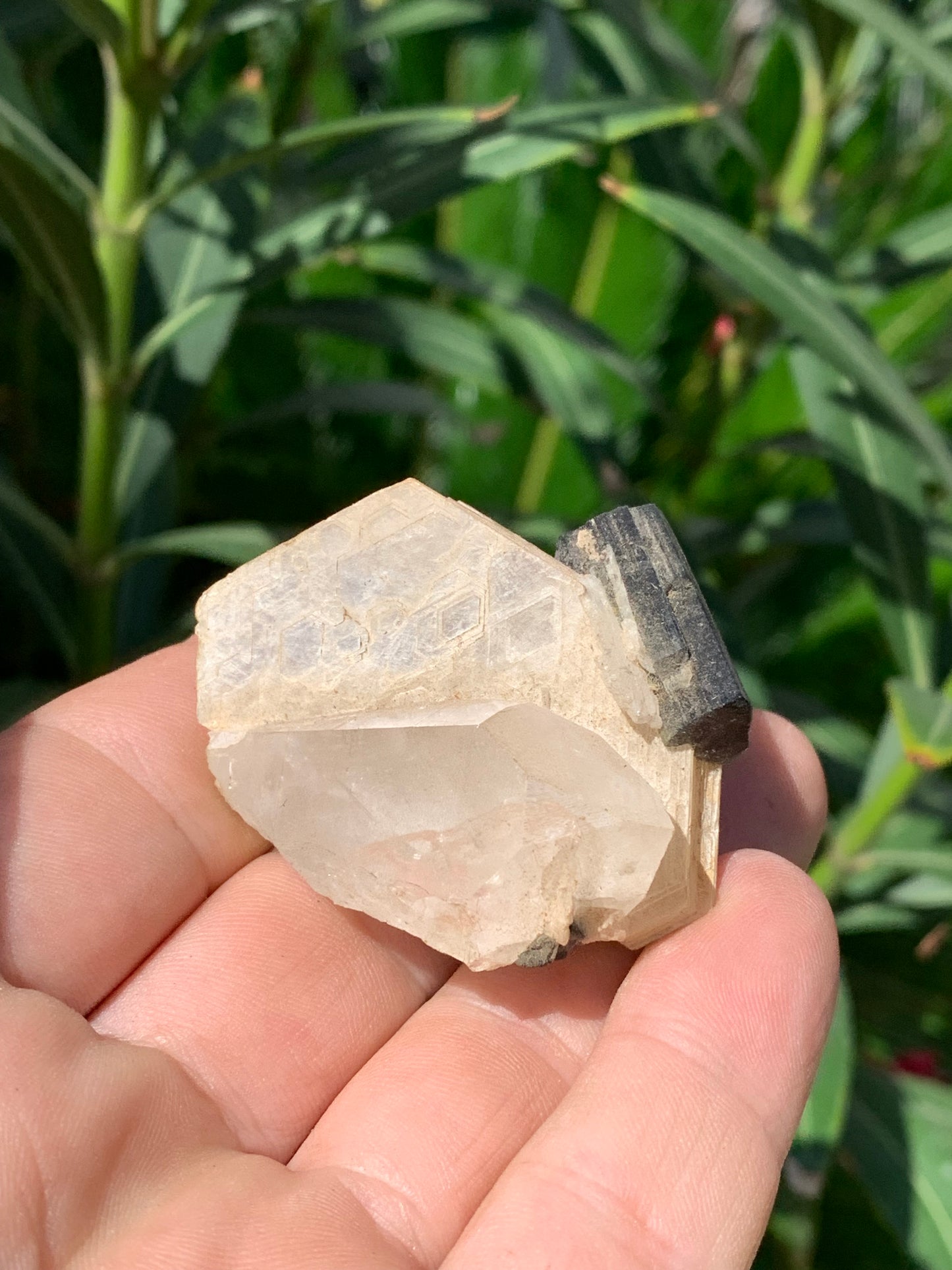 Tourmaline verte/ Verdélite avec Quartz et Muscovite, spécimen naturel de 52 x 44 x 27 mm -46 grammes environ. Superbe petite pièce de minéralogie !