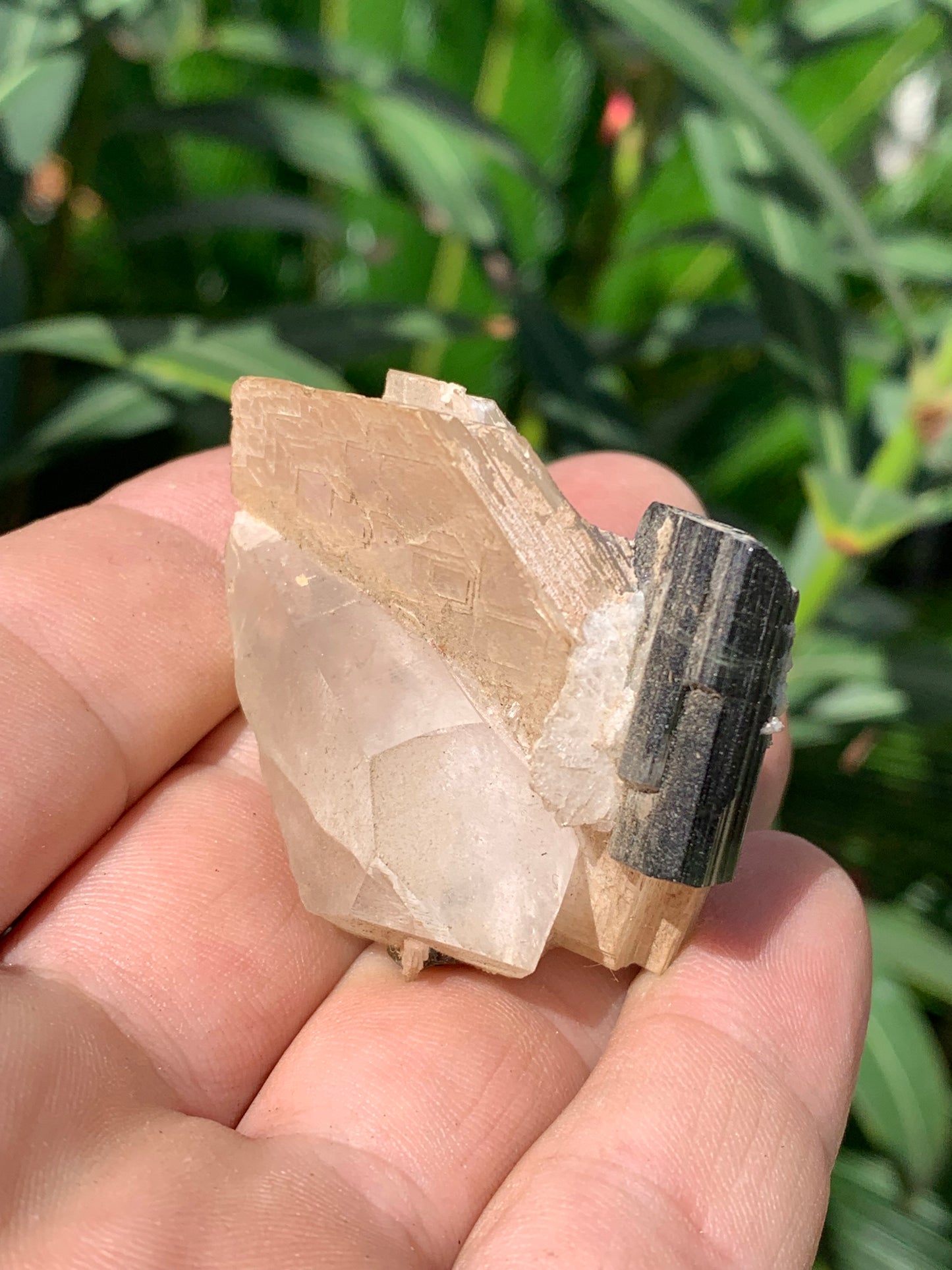 Tourmaline verte/ Verdélite avec Quartz et Muscovite, spécimen naturel de 52 x 44 x 27 mm -46 grammes environ. Superbe petite pièce de minéralogie !