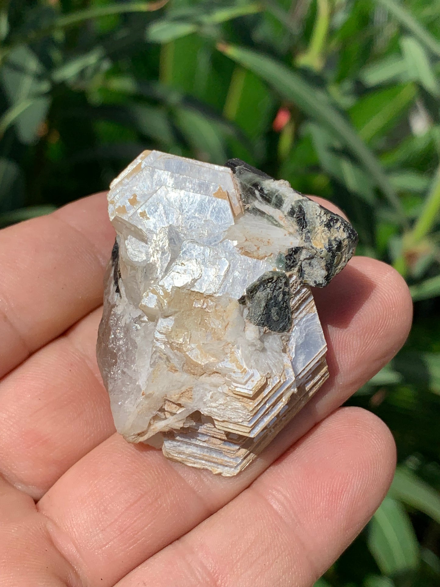 Tourmaline verte/ Verdélite avec Quartz et Muscovite, spécimen naturel de 52 x 44 x 27 mm -46 grammes environ. Superbe petite pièce de minéralogie !