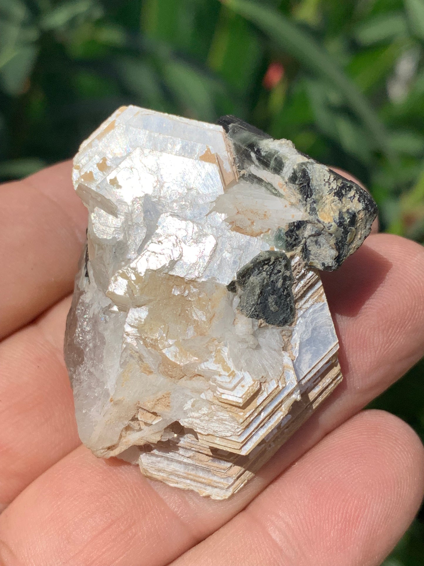 Tourmaline verte/ Verdélite avec Quartz et Muscovite, spécimen naturel de 52 x 44 x 27 mm -46 grammes environ. Superbe petite pièce de minéralogie !