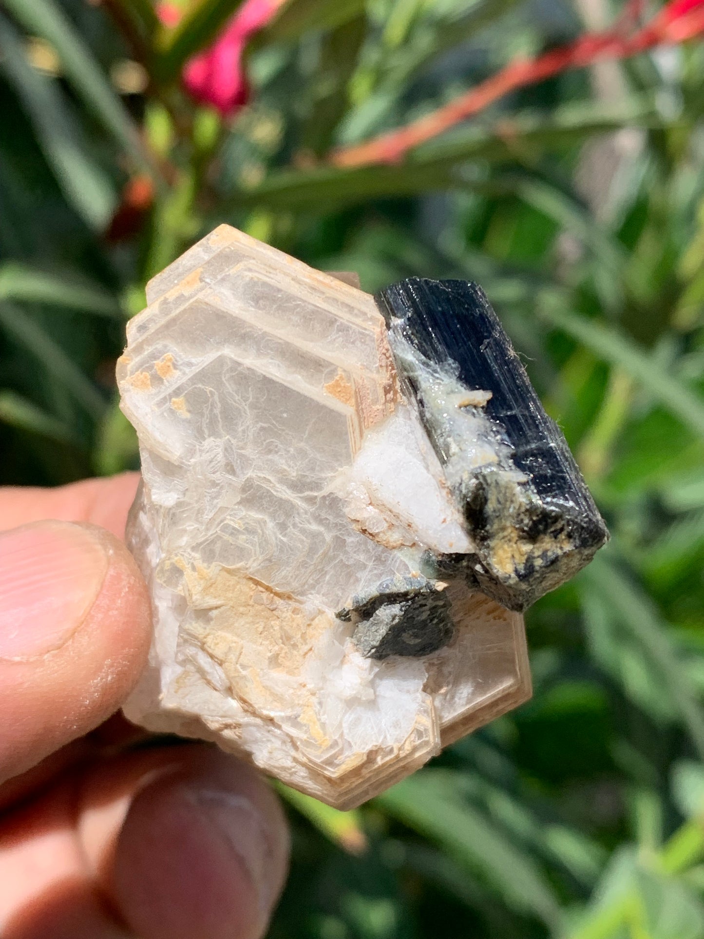 Tourmaline verte/ Verdélite avec Quartz et Muscovite, spécimen naturel de 52 x 44 x 27 mm -46 grammes environ. Superbe petite pièce de minéralogie !