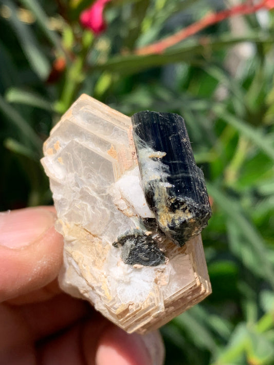 Green Tourmaline/Verdelite with Quartz and Muscovite, natural specimen measuring 52 x 44 x 27 mm - approximately 46 grams. A superb little piece of mineralogy! 