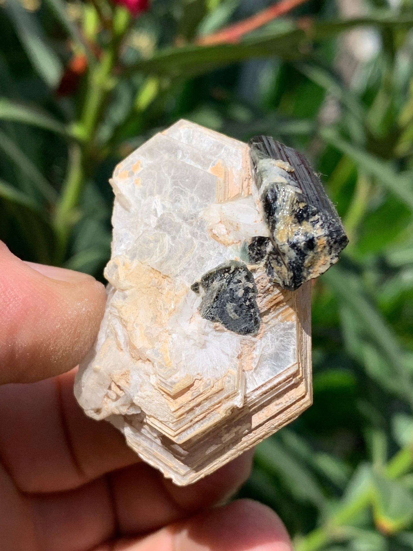 Tourmaline verte/ Verdélite avec Quartz et Muscovite, spécimen naturel de 52 x 44 x 27 mm -46 grammes environ. Superbe petite pièce de minéralogie !