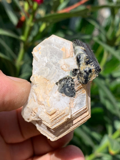 Tourmaline verte/ Verdélite avec Quartz et Muscovite, spécimen naturel de 52 x 44 x 27 mm -46 grammes environ. Superbe petite pièce de minéralogie !