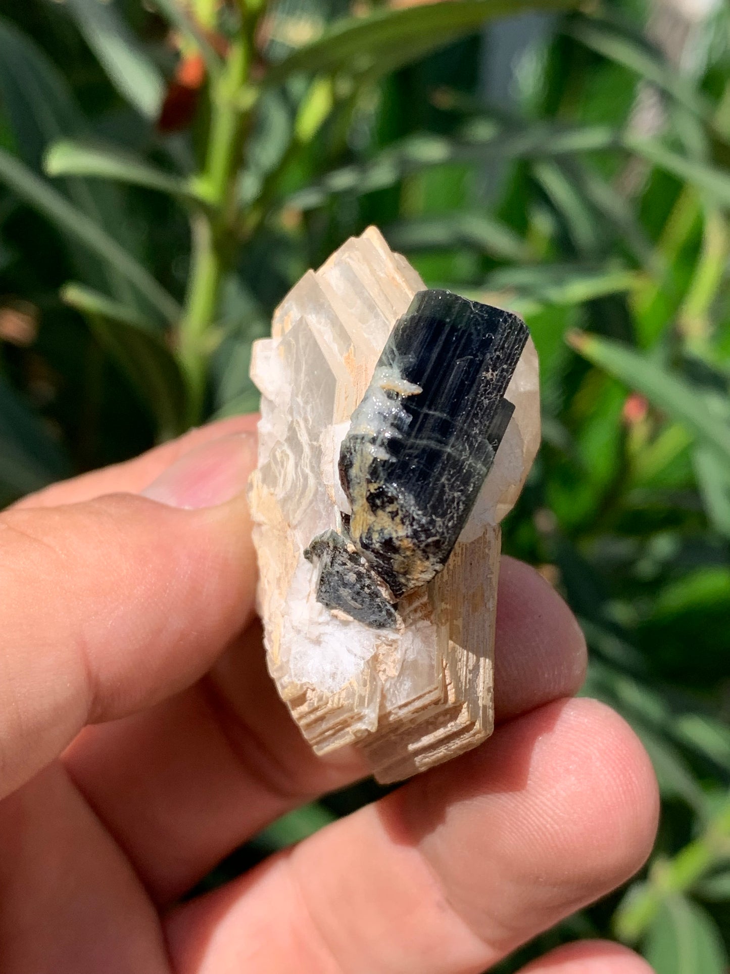 Tourmaline verte/ Verdélite avec Quartz et Muscovite, spécimen naturel de 52 x 44 x 27 mm -46 grammes environ. Superbe petite pièce de minéralogie !