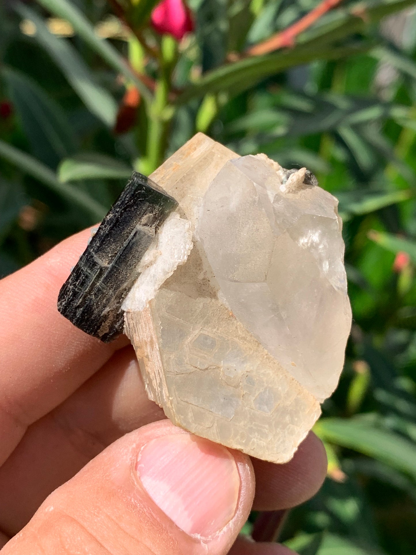 Tourmaline verte/ Verdélite avec Quartz et Muscovite, spécimen naturel de 52 x 44 x 27 mm -46 grammes environ. Superbe petite pièce de minéralogie !