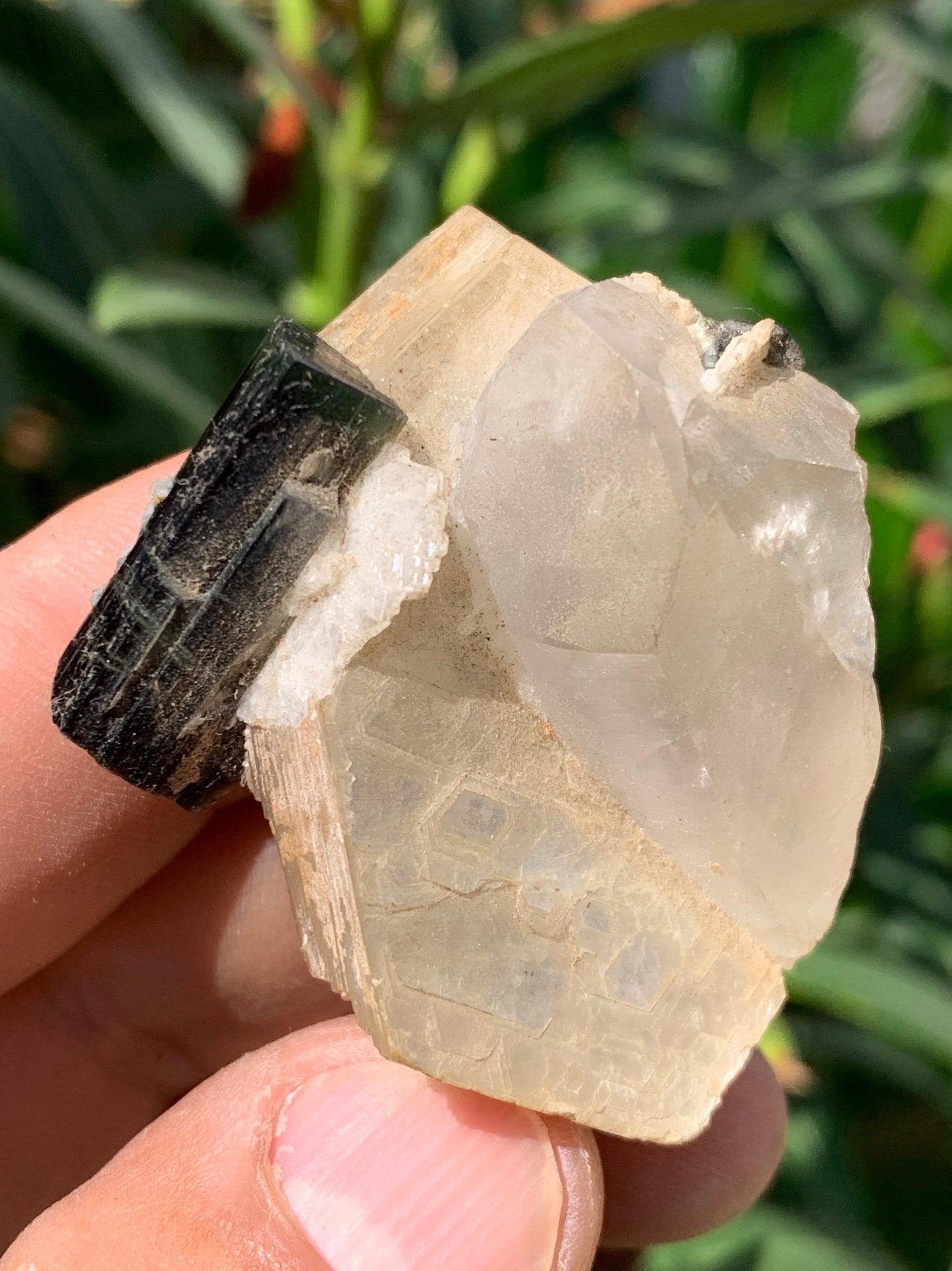 Tourmaline verte/ Verdélite avec Quartz et Muscovite, spécimen naturel de 52 x 44 x 27 mm -46 grammes environ. Superbe petite pièce de minéralogie !