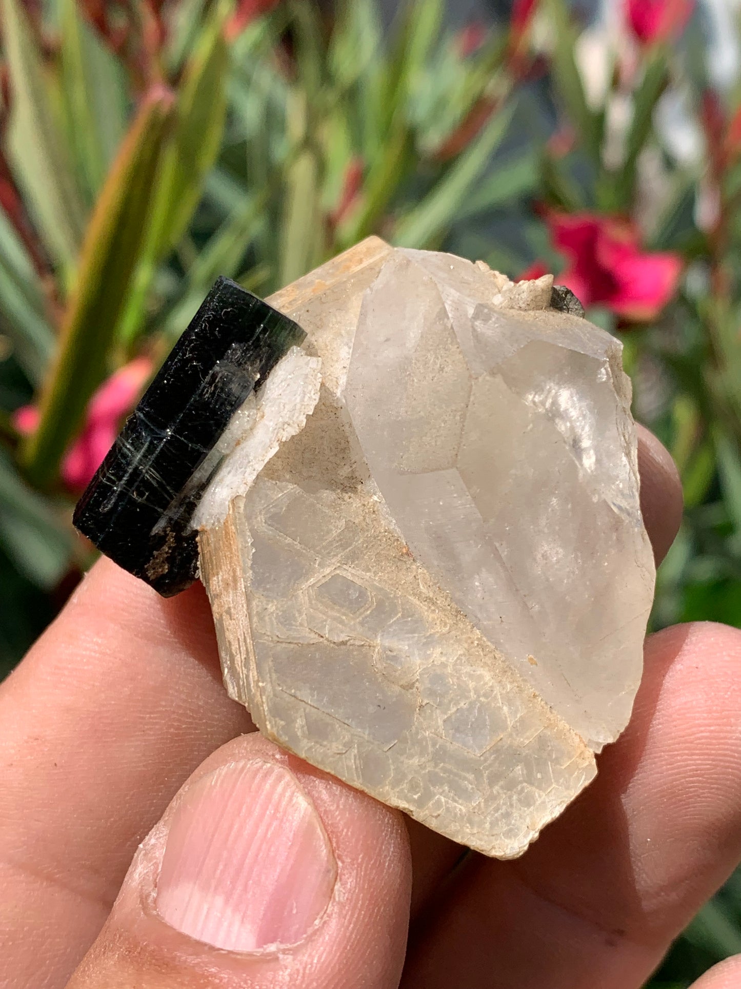 Tourmaline verte/ Verdélite avec Quartz et Muscovite, spécimen naturel de 52 x 44 x 27 mm -46 grammes environ. Superbe petite pièce de minéralogie !