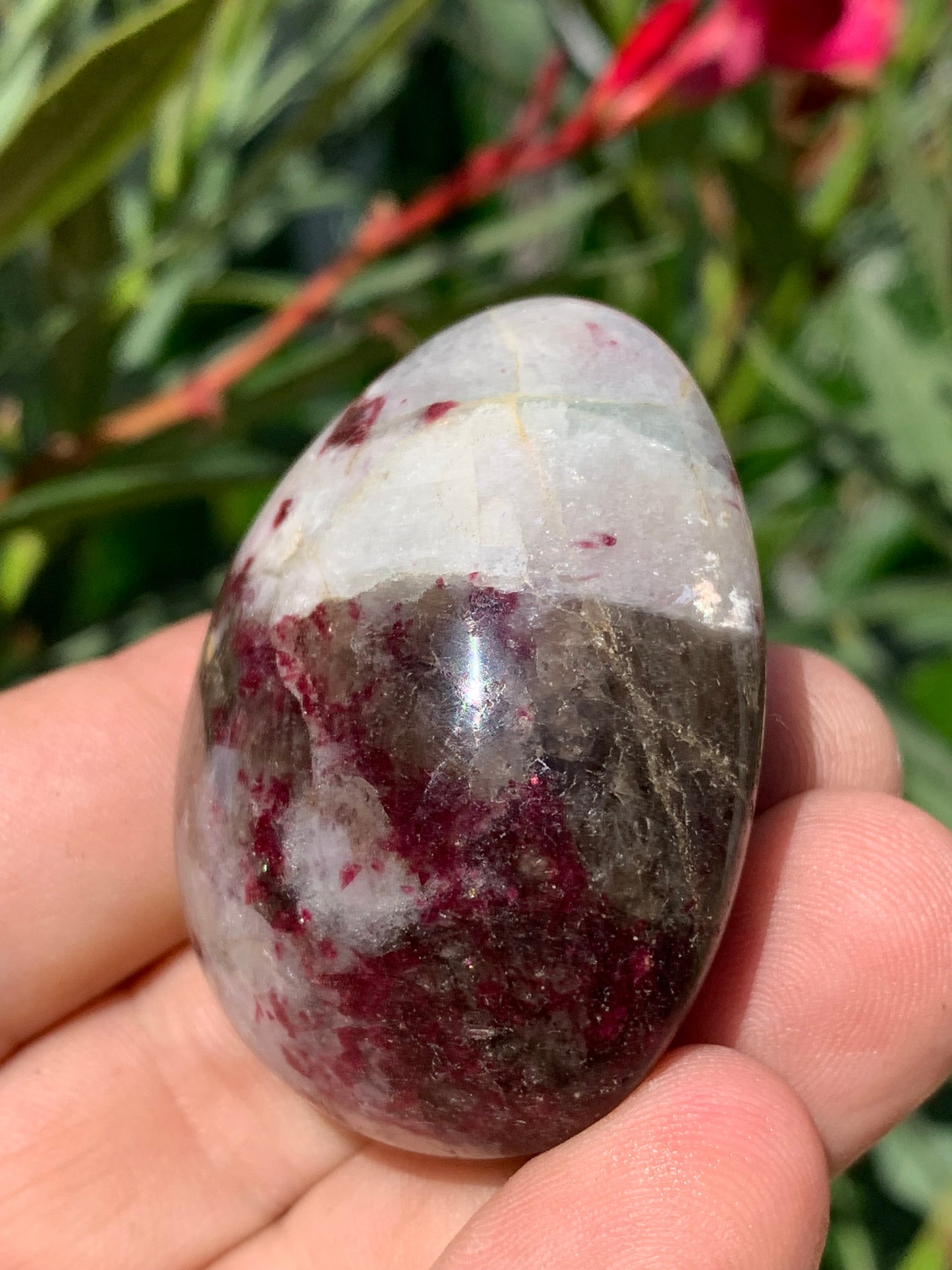 Rubellite Tourmaline, pebble measuring 51 x 40 x 25 mm - 68.4 grams. A very beautiful and unique piece! 