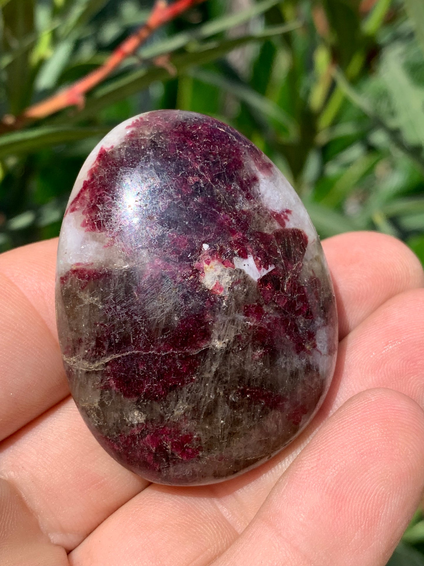 Rubellite Tourmaline, pebble measuring 51 x 40 x 25 mm - 68.4 grams. A very beautiful and unique piece! 