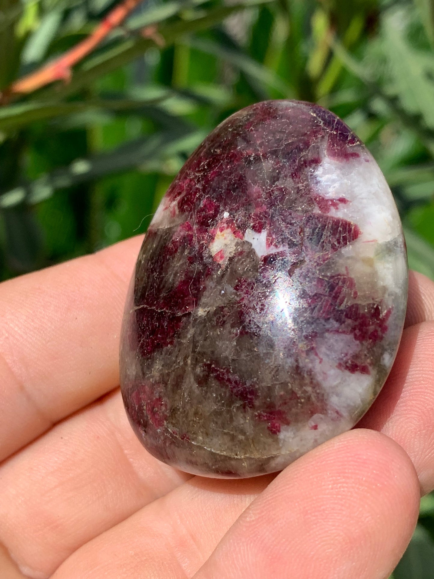 Rubellite Tourmaline, pebble measuring 51 x 40 x 25 mm - 68.4 grams. A very beautiful and unique piece! 