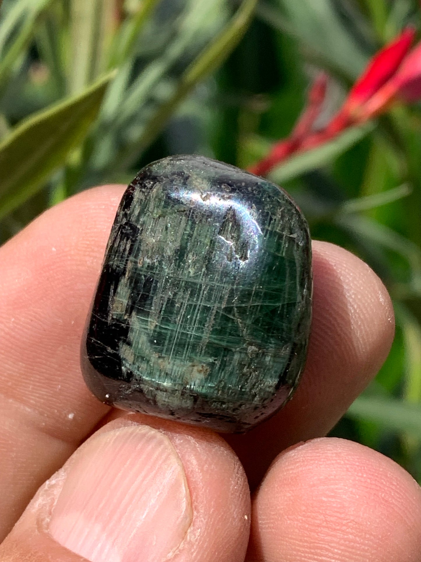 Tourmaline verte/ Verdélite, pierre roulée de 25 x 23 x 16 mm -17,3 grammes environ. Superbe petite pièce de minéralogie !