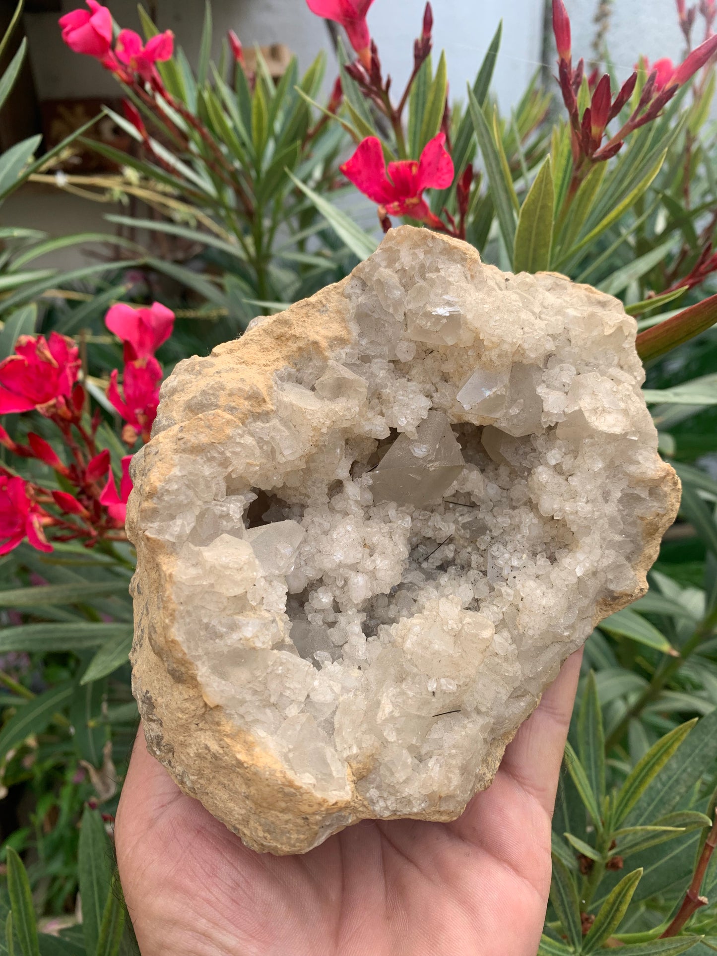 Apophyllite, superbe druse/ géode de 150 x 120 x 90 mm - 1 760 grammes. Magnifique pièce de minéralogie !