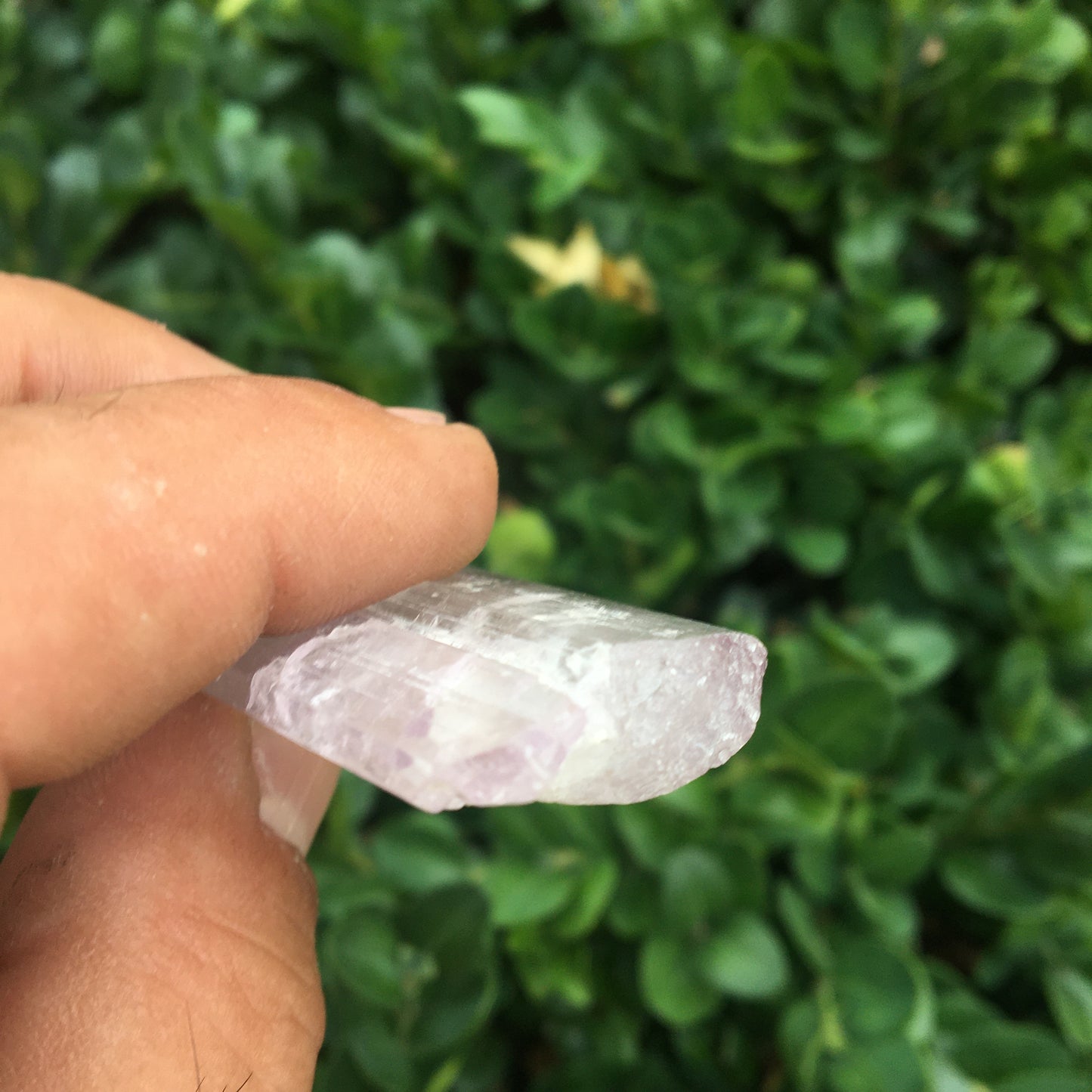 Kunzite avec cristal de roche naissant, spècimen XL (rare) de 100mm x25 x 14 - 54,3 grammes !