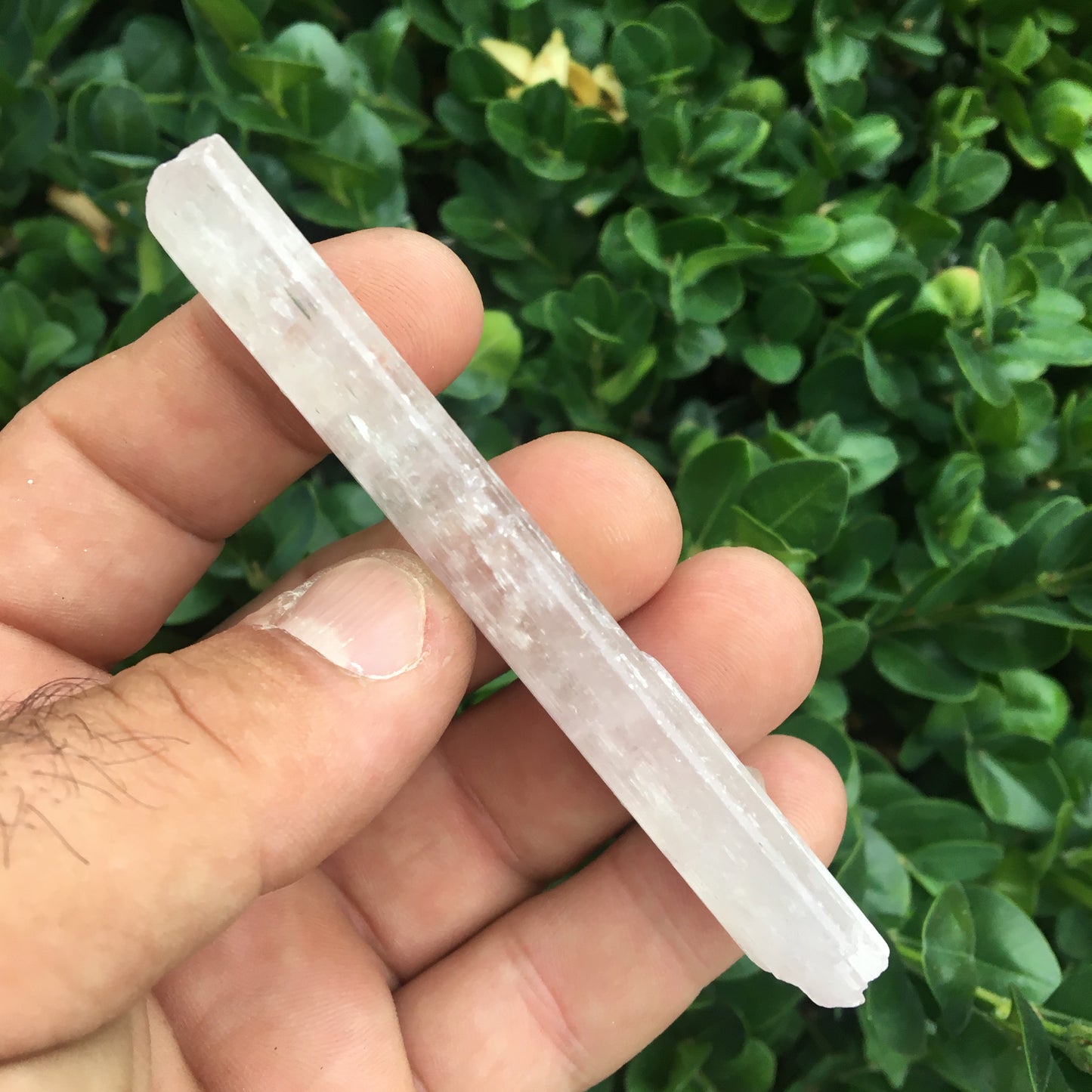 Kunzite avec cristal de roche naissant, spècimen XL (rare) de 100mm x25 x 14 - 54,3 grammes !