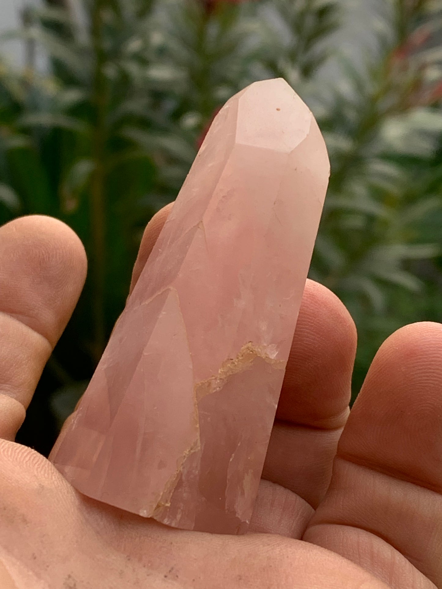 Quartz rose, pointe laser de 62 x 28 x 24 millimètres - 58 grammes. Superbe qualité, parfait pour vos collections, expositions...