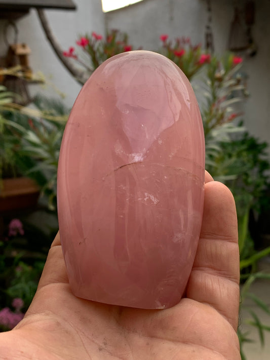Quartz rose, forme libre de 108 x 62 x 46 millimètres - 447 grammes. Superbe qualité, parfait pour vos collections, expositions...