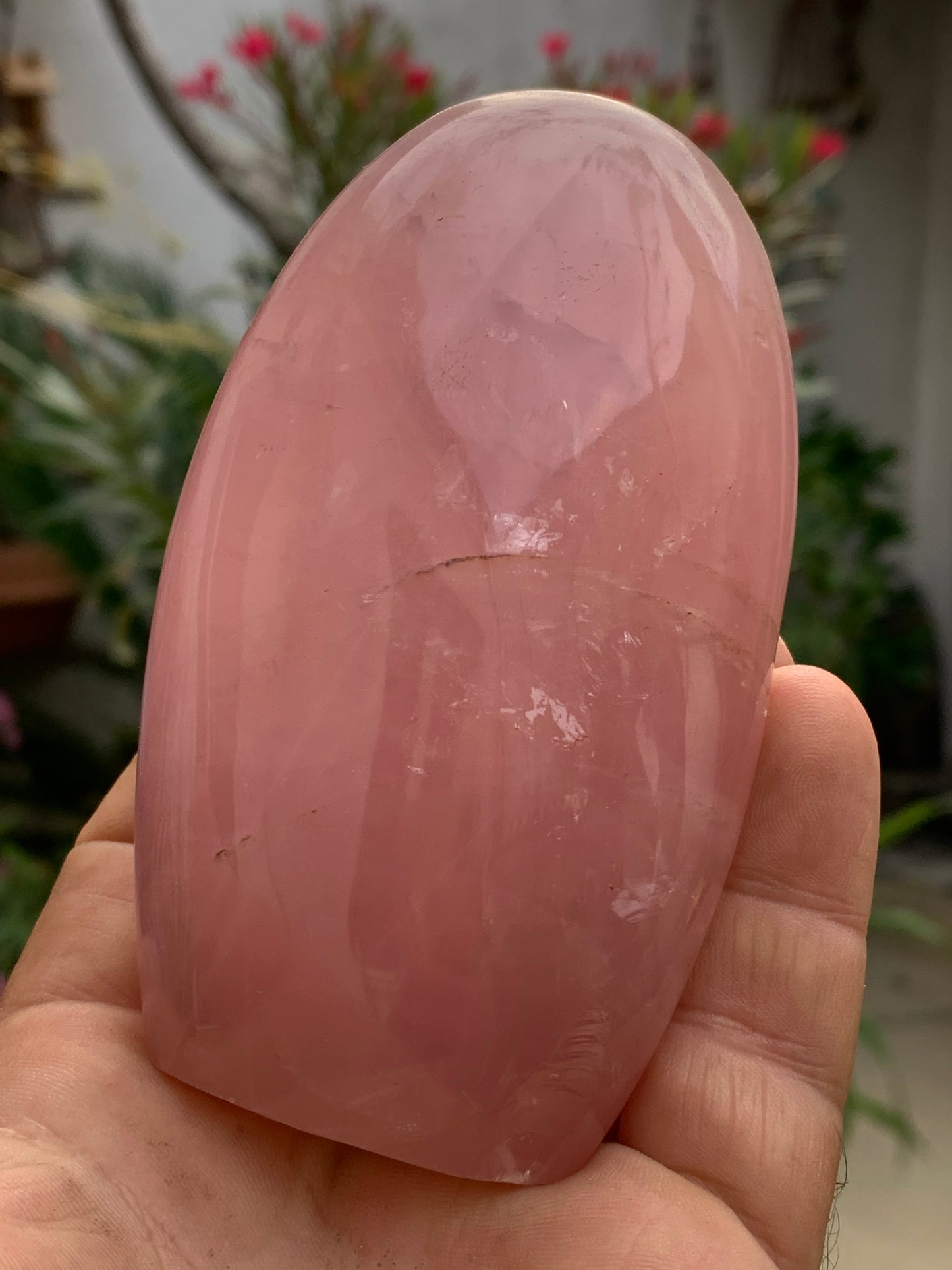 Quartz rose, forme libre de 108 x 62 x 46 millimètres - 447 grammes. Superbe qualité, parfait pour vos collections, expositions...