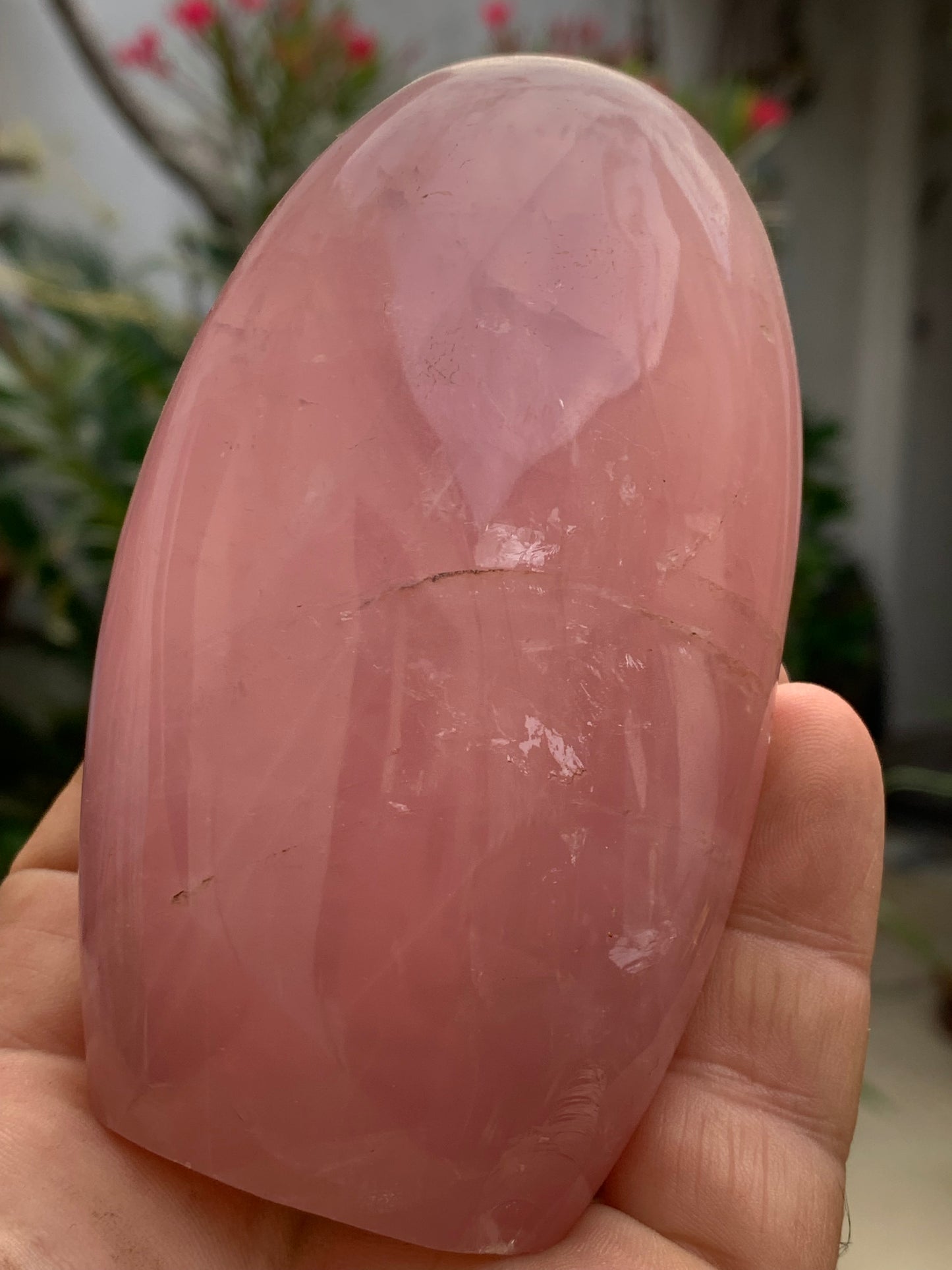Quartz rose, forme libre de 108 x 62 x 46 millimètres - 447 grammes. Superbe qualité, parfait pour vos collections, expositions...