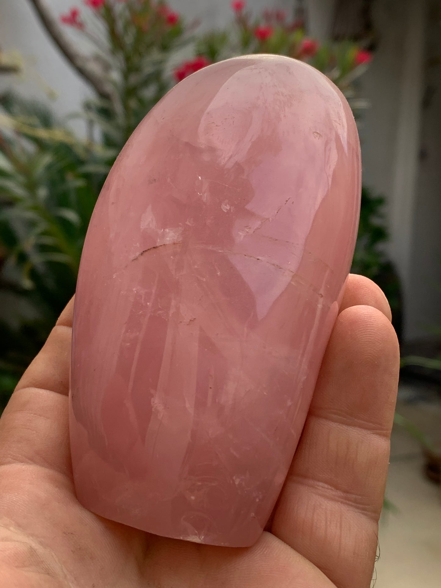 Quartz rose, forme libre de 108 x 62 x 46 millimètres - 447 grammes. Superbe qualité, parfait pour vos collections, expositions...