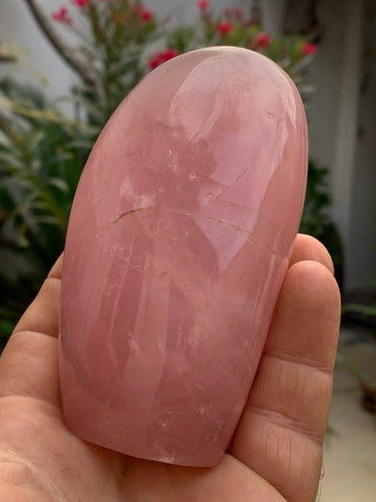 Quartz rose, forme libre de 108 x 62 x 46 millimètres - 447 grammes. Superbe qualité, parfait pour vos collections, expositions...