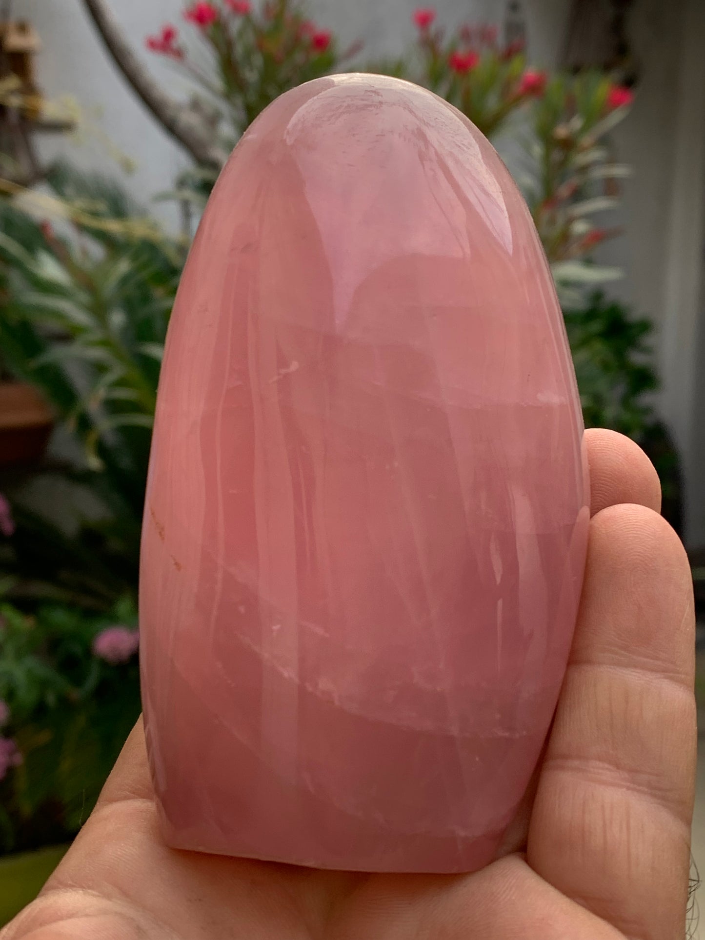 Quartz rose, forme libre de 108 x 62 x 46 millimètres - 447 grammes. Superbe qualité, parfait pour vos collections, expositions...