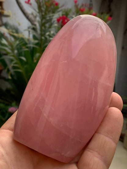 Quartz rose, forme libre de 108 x 62 x 46 millimètres - 447 grammes. Superbe qualité, parfait pour vos collections, expositions...
