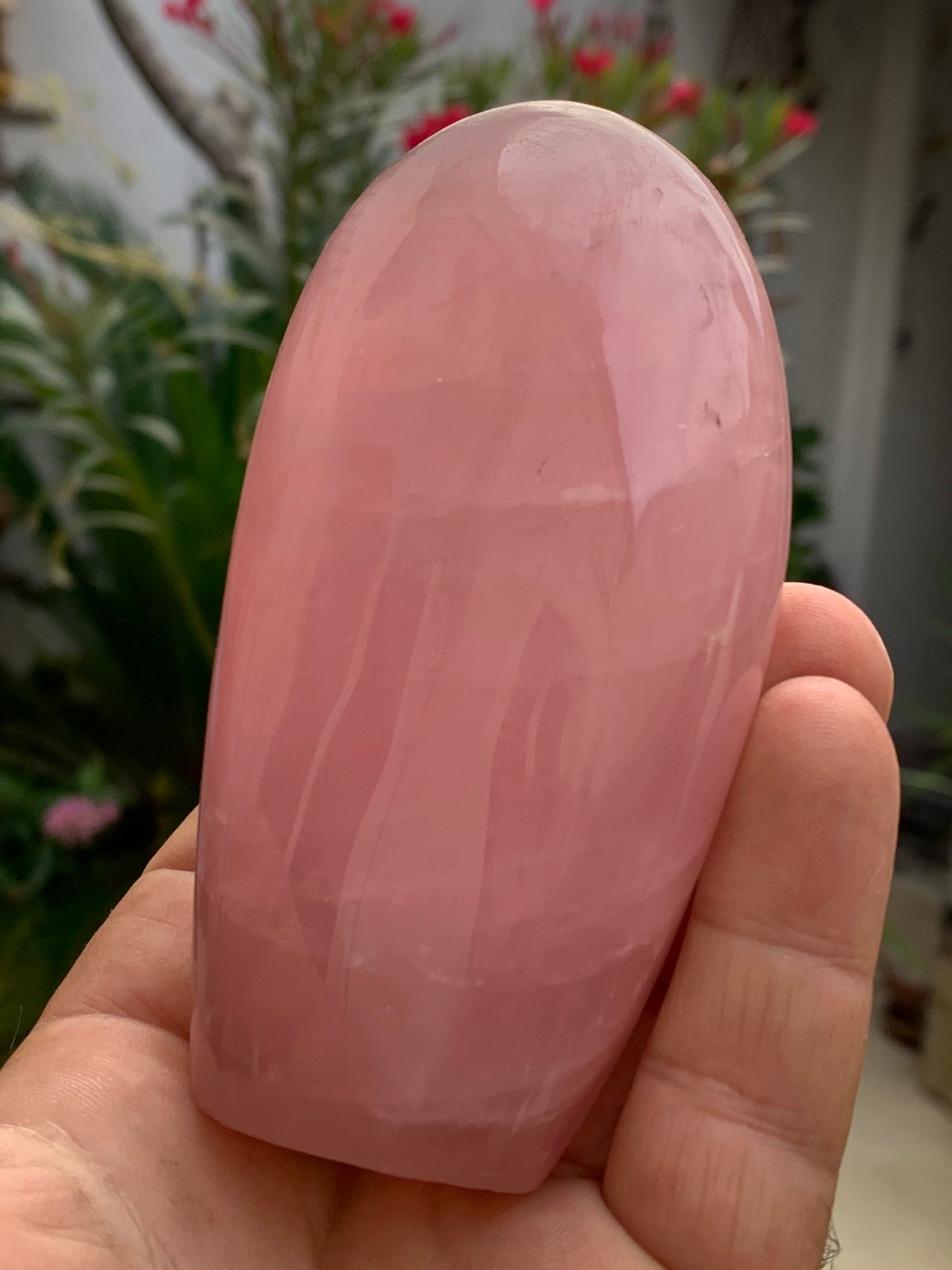 Quartz rose, forme libre de 108 x 62 x 46 millimètres - 447 grammes. Superbe qualité, parfait pour vos collections, expositions...