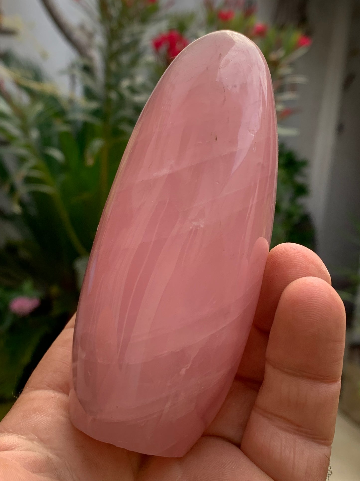Quartz rose, forme libre de 108 x 62 x 46 millimètres - 447 grammes. Superbe qualité, parfait pour vos collections, expositions...