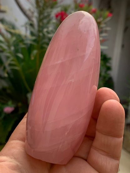 Quartz rose, forme libre de 108 x 62 x 46 millimètres - 447 grammes. Superbe qualité, parfait pour vos collections, expositions...
