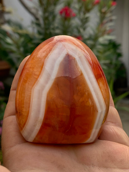 Cornaline, forme libre de 69 x 63 x 35 millimètres - 228,2 grammes. Superbe qualité, parfait pour vos collections, expositions...