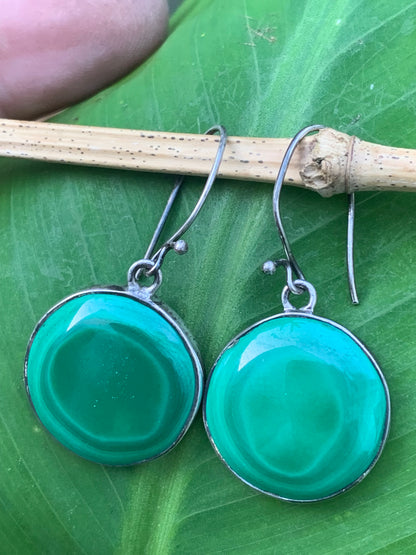 Boucles d'oreilles en Malachite, cabochons de 25mm sertis Argent 0.925, superbes pièces de qualité AA à AAA, parfait !