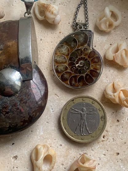 Pendentifs d'Ammonites fossiles, disponibles en 2 tailles, 60x50x20 et 35x25x10 mm. Chaque pièce est authentique et unique, révélant les spirales naturelles et les motifs fascinants de ce fossile. Livrés avec cordon coulissant, prêt à porté ou à offrir !