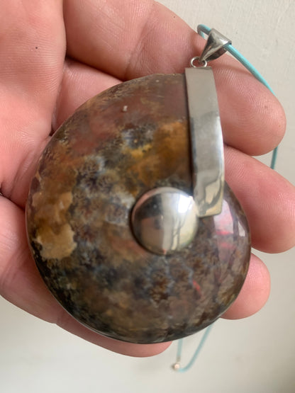 Pendentifs d'Ammonites fossiles, disponibles en 2 tailles, 60x50x20 et 35x25x10 mm. Chaque pièce est authentique et unique, révélant les spirales naturelles et les motifs fascinants de ce fossile. Livrés avec cordon coulissant, prêt à porté ou à offrir !